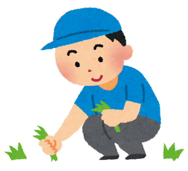 島根県松江市の草刈り代行は解体堂 雑草対策を解説します
