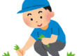 島根県松江市の草刈り代行は解体堂｜雑草対策を解説します