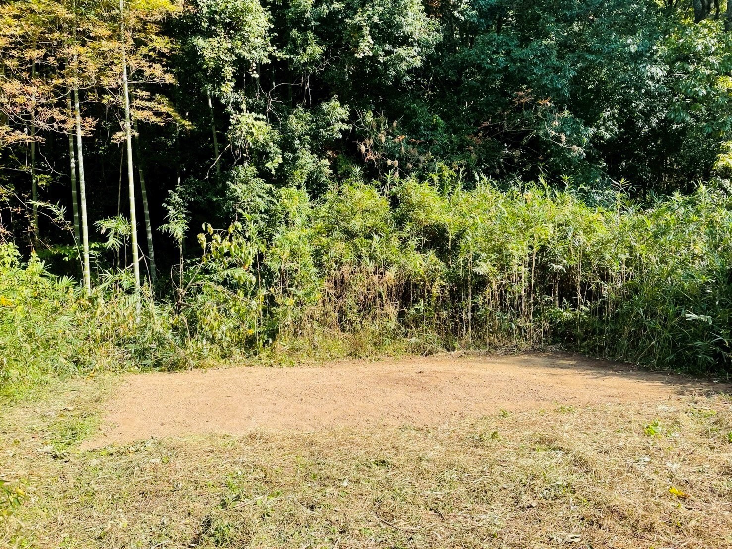 【鳥取県米子市Ｋ様邸】ビニールハウスの解体工事