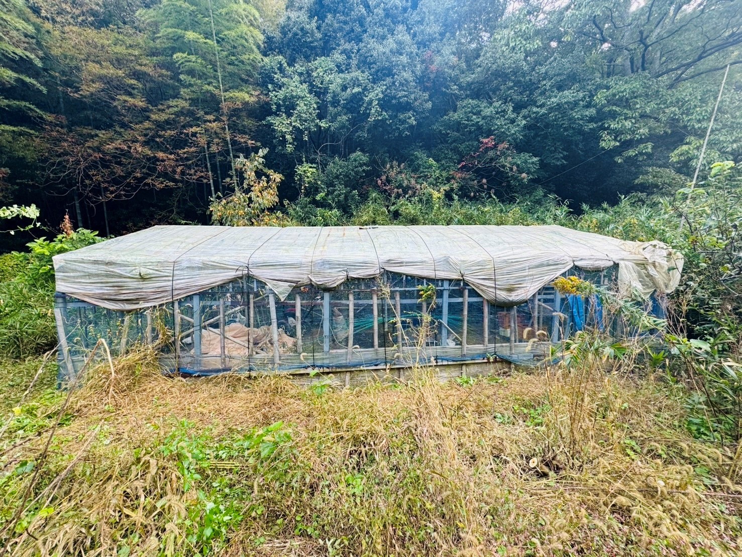 【鳥取県米子市Ｋ様邸】ビニールハウスの解体工事